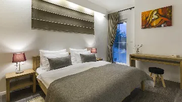 Modern Villa with Infinity Pool in Viškovići