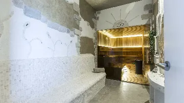 Modern Villa with Infinity Pool in Viškovići