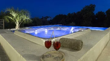 Modern Villa with Infinity Pool in Viškovići