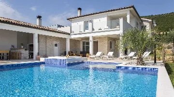 Modern Villa with Infinity Pool in Viškovići