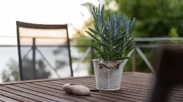 5-Bedroom Villa with Heated Pool, Mošćenička Draga