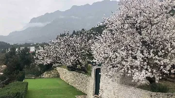 Villa in Makarska for up to 5 with Sauna & Jacuzzi