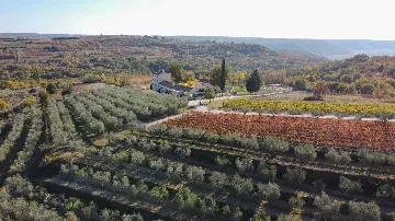 Villa with Pool in Buje for Up to 16 Guests