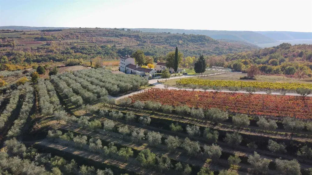 Villa with Pool in Buje for Up to 16 Guests