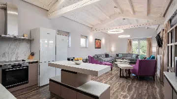 Modern Villa with Heated Pool and Hot Tub in Režanci