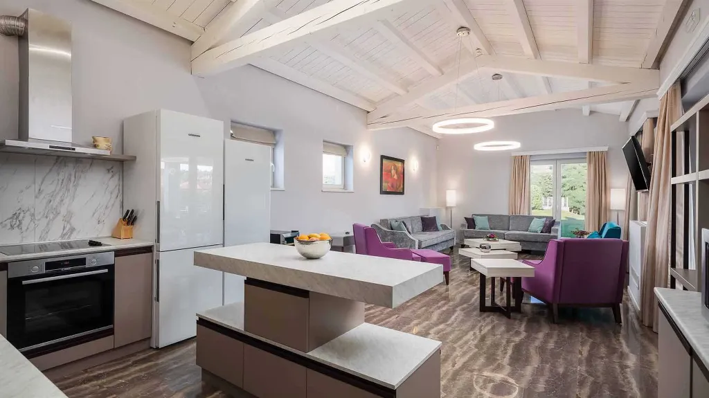 Modern Villa with Heated Pool and Hot Tub in Režanci