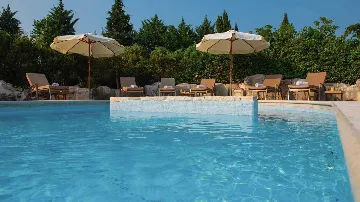 Šajini Designer Pool Villa for 12 Guests