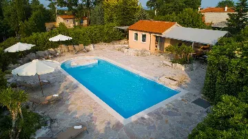 Šajini Designer Pool Villa for 12 Guests