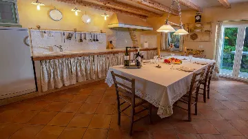 Šajini Designer Pool Villa for 12 Guests