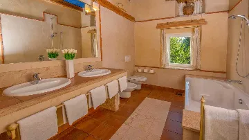 Šajini Designer Pool Villa for 12 Guests