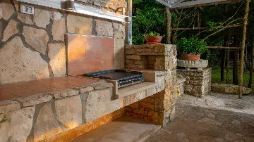 Šajini Designer Pool Villa for 12 Guests