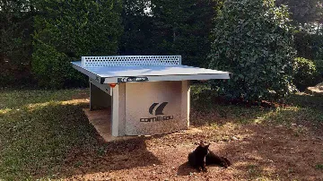 Šajini Designer Pool Villa for 12 Guests