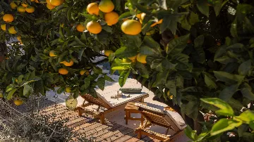 4-Bedroom Villa in Molunat (Sleeps 8)