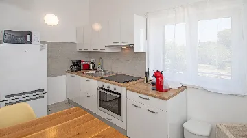 Villa with Outdoor Pool and Jacuzzi in Vodnjan