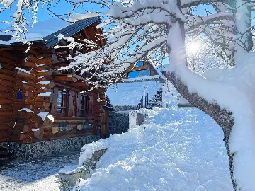 Kupjak Villa with Wellness Area for 6 Guests