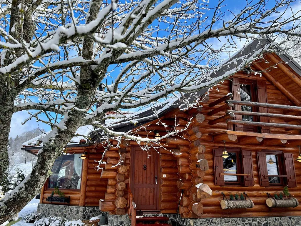 Kupjak Villa with Wellness Area for 6 Guests