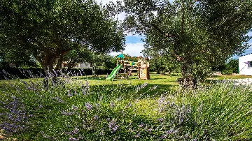 Rakalj Villa for Up to 8 Guests