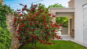 Villa with Pool and Sauna in Rovinjsko Selo