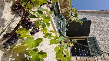 Villa in Jakovići for Up to 8 Guests