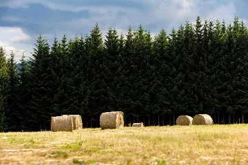 Wooden Villa in Hlevci for Up to 5 Guests