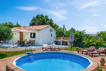 Villa with Pool in Nedešćina