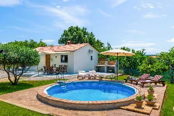 Villa with Pool in Nedešćina