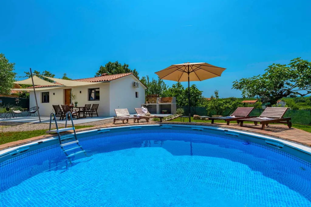 Villa with Pool in Nedešćina