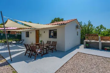 Villa with Pool in Nedešćina