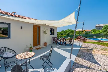 Villa with Pool in Nedešćina