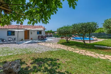 Villa with Pool in Nedešćina