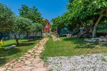 Villa with Pool in Nedešćina
