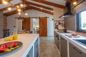 Villa with Pool in Nedešćina