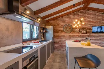 Villa with Pool in Nedešćina