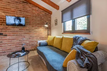 Villa with Pool in Nedešćina