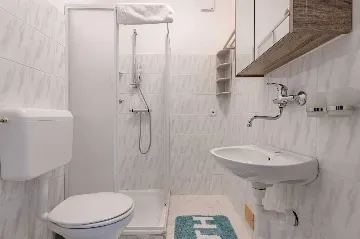 Spacious Family Home with Pool in Labin