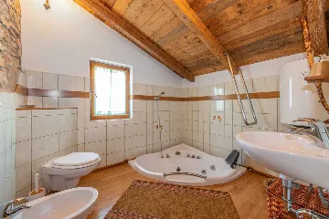 Šišan Istrian Stone House for Up to 5 Guests