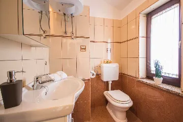 4-Bedroom Villa with Pool in Tomišići