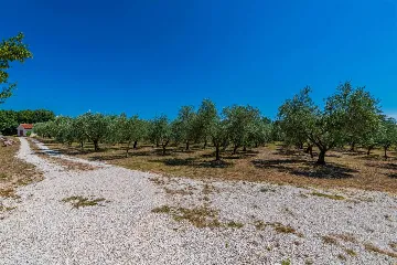 Semi-Detached House for 4 Guests in Ližnjan