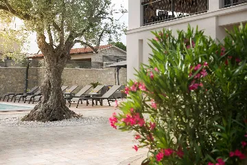 Private Pool House in Labin for Up to 12 Guests