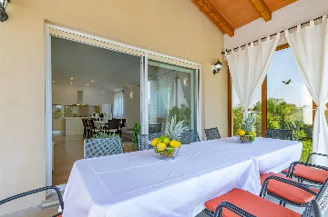 Air-Conditioned House with Pool in Nedešćina