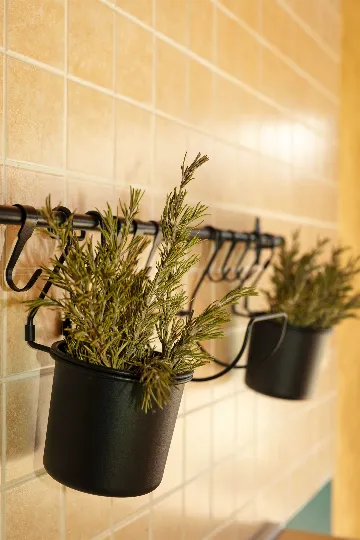 Apartment in Nedescina for Up to 4 Guests