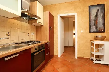 Apartment in Nedescina for Up to 4 Guests