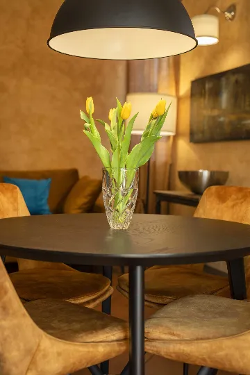 Apartment in Nedescina for Up to 4 Guests