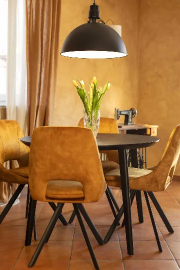 Apartment in Nedescina for Up to 4 Guests