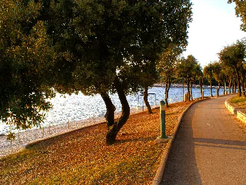 5-Bedroom House in Žminj for 10 Guests