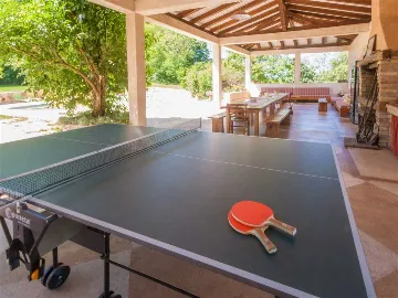 Pazin 9-Bedroom Private House for Large Groups