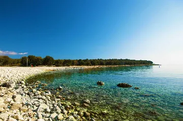 5-Bedroom House with Pool in Svetvinčenat
