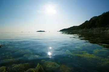 5-Bedroom House with Pool in Svetvinčenat