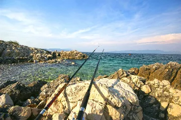 Pazin House with Fenced Saltwater Pool