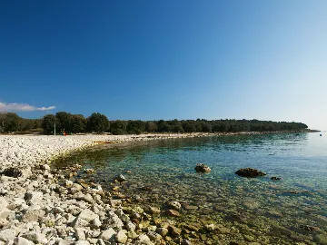 Pazin House with Fenced Saltwater Pool